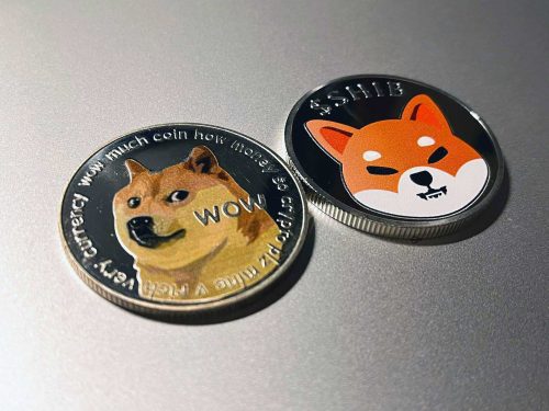 Dogecoin shiba inu